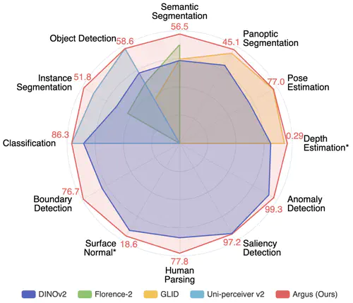 Argus: A Compact and Versatile Foundation Model for Vision